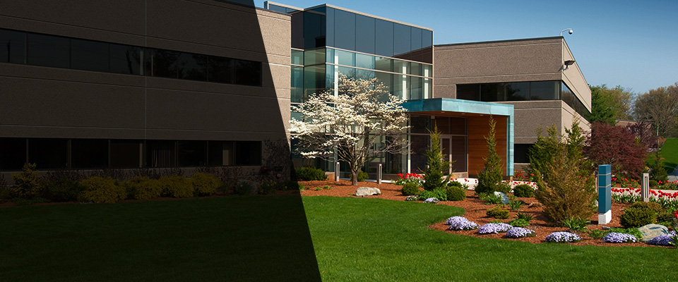 Lamberton Landscapers