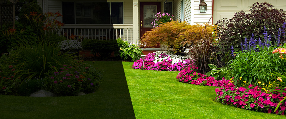 Lamberton Landscapers