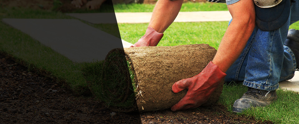 Lamberton Landscapers